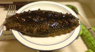 自家製なまこ酢とこのわた[レシピあり]