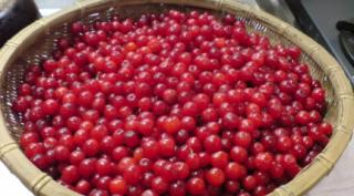 ユスラウメの実